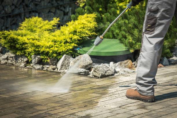 Best Soft Washing  in Dimondale, MI