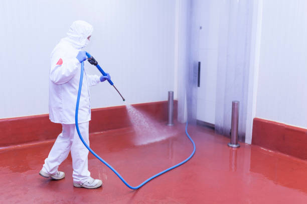 Best Solar Panel Cleaning  in Dimondale, MI