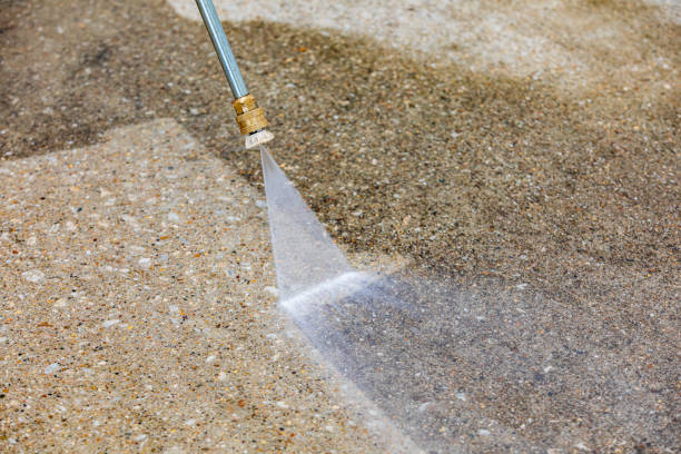 Best Restaurant Pressure Washing  in Dimondale, MI